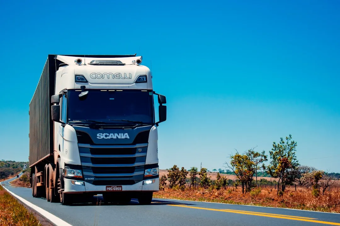 Road Trippers Joined the Frequency (Image Credits: Unsplash)