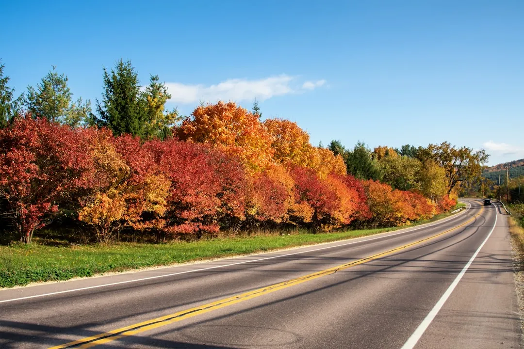 A Valley Built for Autumn (Image Credits: Unsplash)