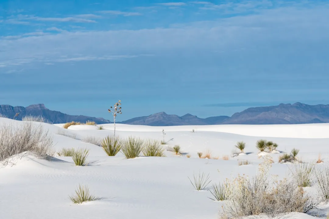 The Ancient Chemistry Behind the White Sand (Image Credits: Unsplash)