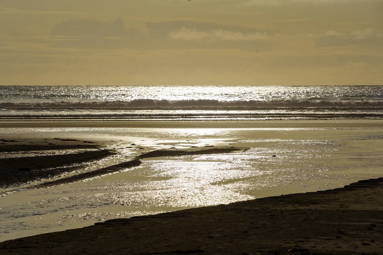 A Place That Rewards Restraint (Image Credits: Pixabay)