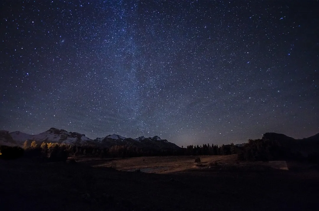 Night Skies and Immersive Wildlife Evenings (Image Credits: Unsplash)