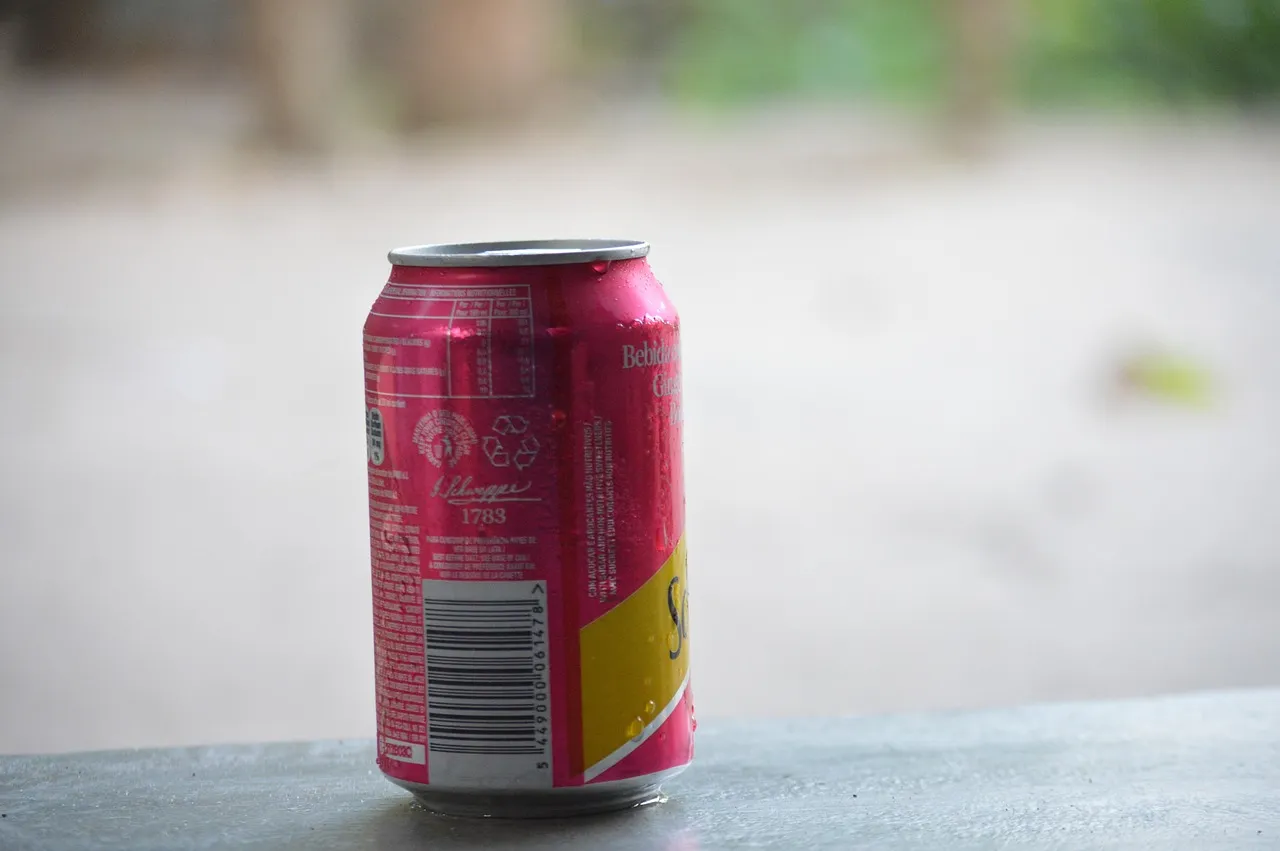 Ginger Ale: The Surprisingly Thoughtful Choice (Image Credits: Pixabay)
