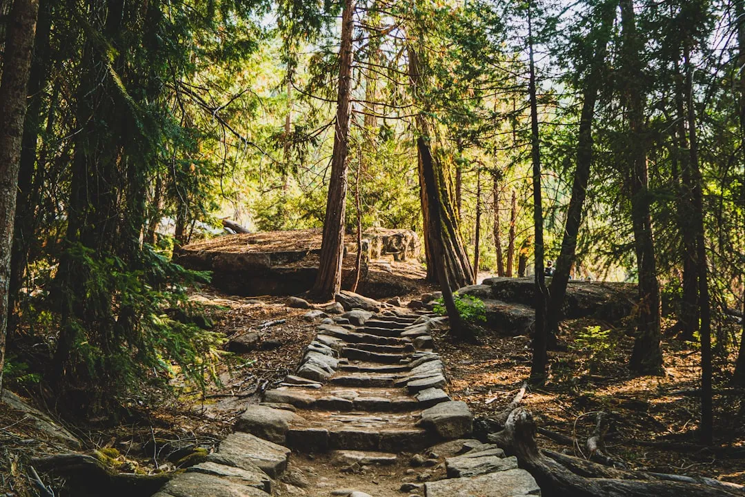 9. Plan Ahead to Reduce Your Park's Pressure Points (Image Credits: Unsplash)