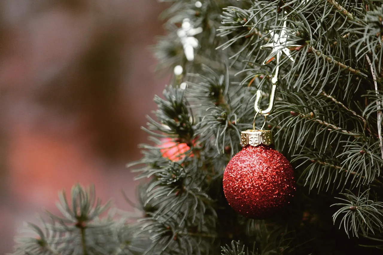 A Genuine Events Calendar That Runs All Winter Long (Image Credits: Pixabay)