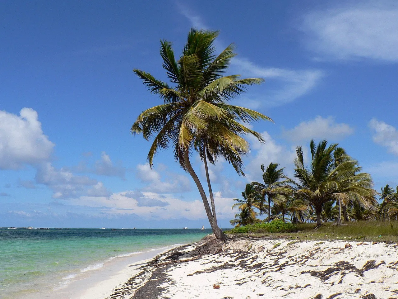 Punta Cana, Dominican Republic: All-Inclusive Value in the Caribbean (Image Credits: Pixabay)