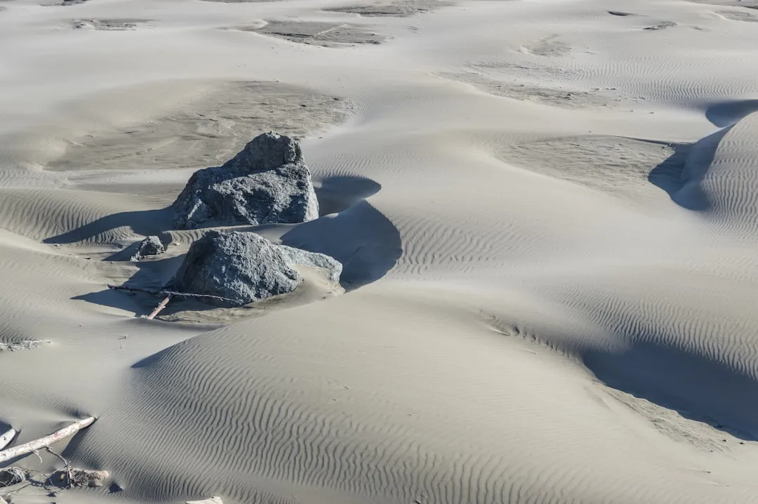 Oregon Dunes: Where the Landscape Gets Unexpected (Image Credits: Unsplash)