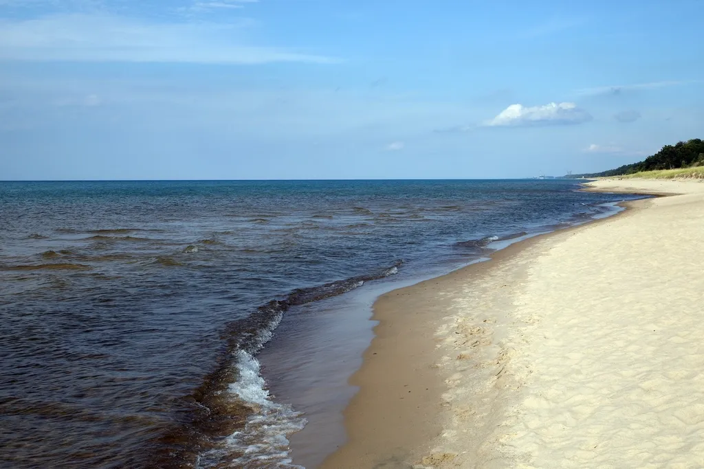 The Remarkable Biodiversity Just Behind the Sand (Image Credits: Rawpixel)