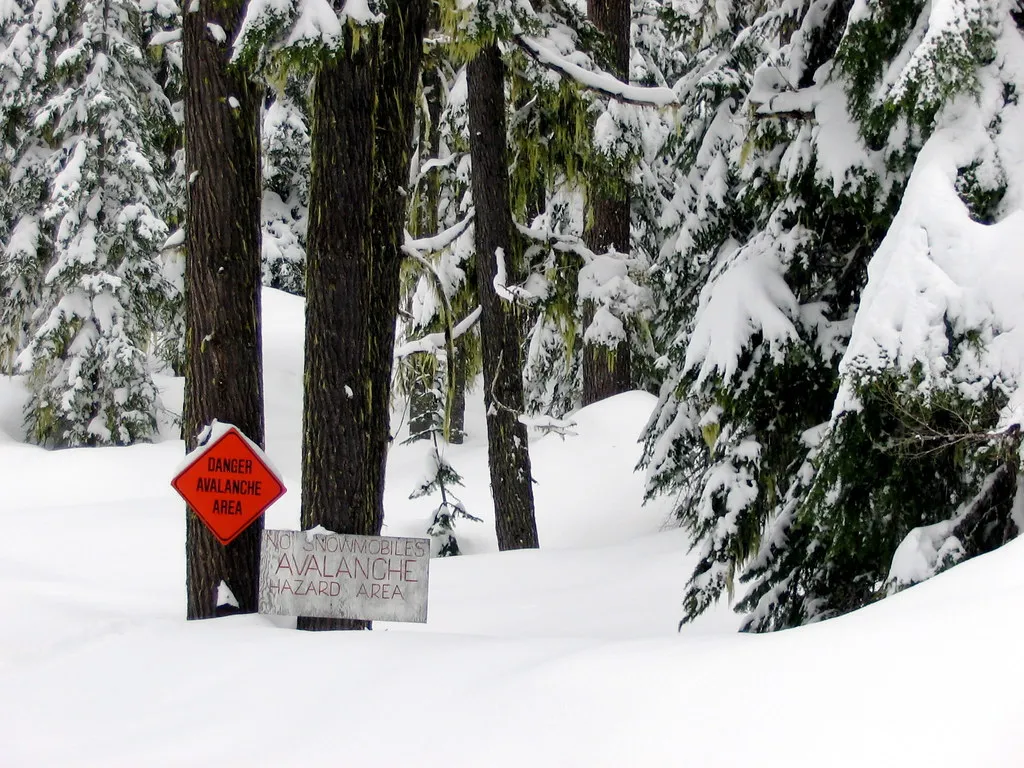 Classic Warning Signs Can Disappear as the Season Progresses (lightcap, Flickr, CC BY 2.0)