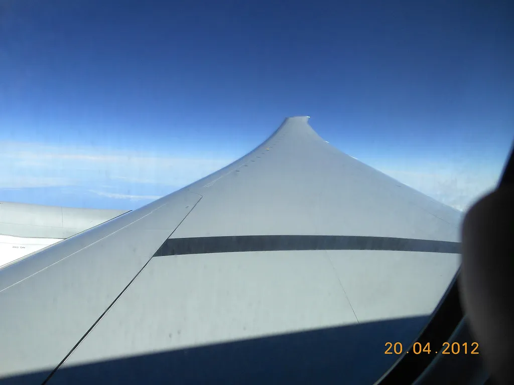 Myth 2: Flexing Wings Are a Sign Something Is Wrong (usf1fan2, Flickr, CC BY 2.0)
