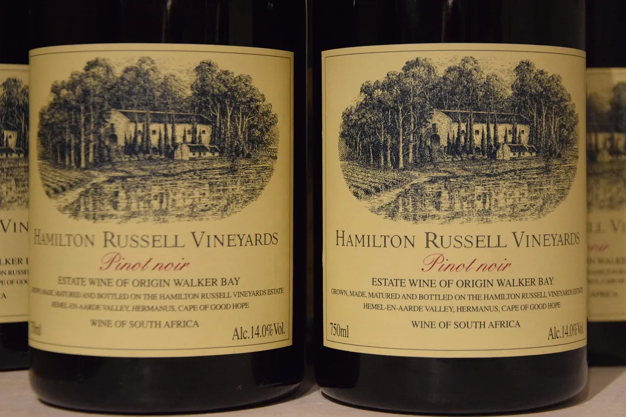 The Pinot Noir That Started It All (Image Credits: Pixabay)