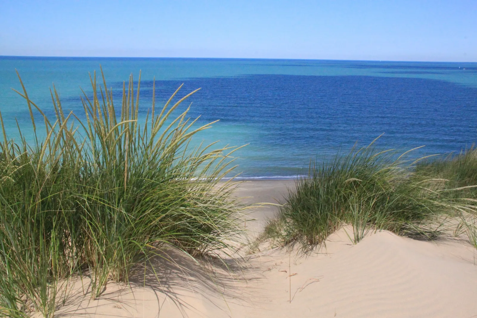 A Historic Park with Deep Conservation Roots (By Indianadunes, CC BY-SA 4.0)