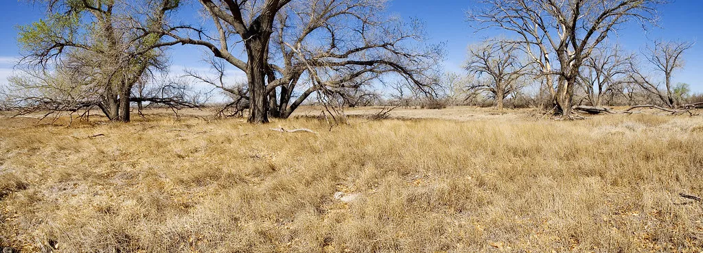 The Largest Area of Public Land in Kansas (Image Credits: Flickr)