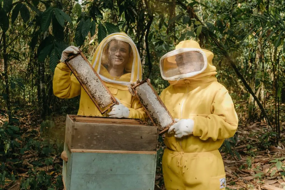 Stop One: The Welcome Hive and What It Teaches You First (Image Credits: Pexels)