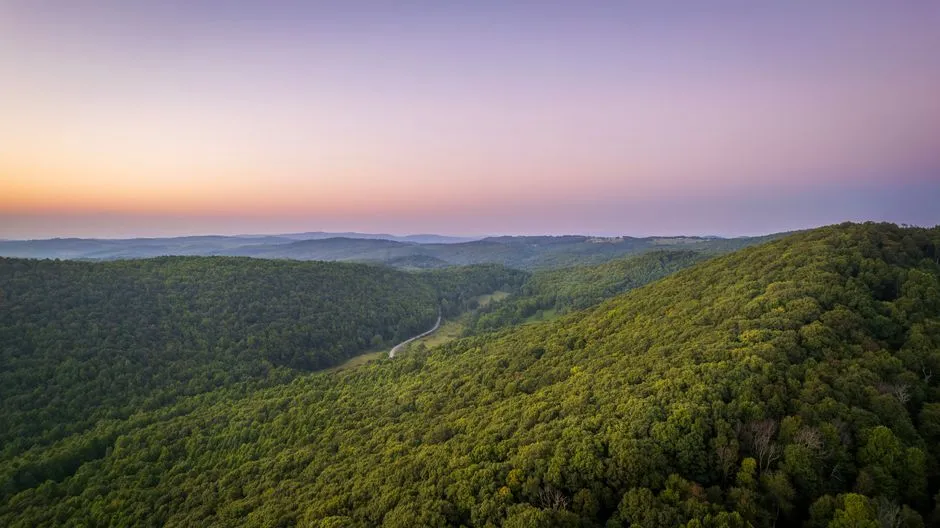 1. Primland Resort, Virginia, USA: French-Designed Treehouses Above the Blue Ridge (Image Credits: Pexels)