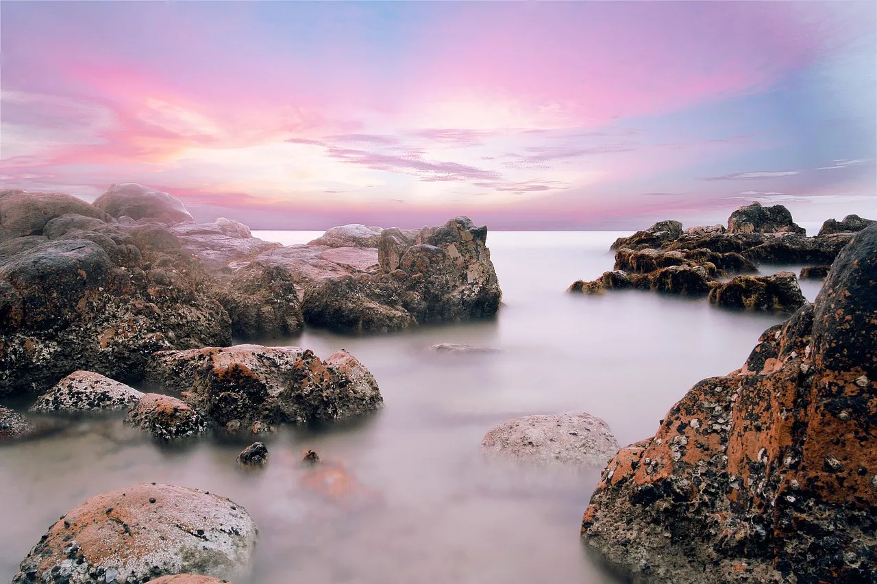 Conclusion: Beauty Is Specific, and Midway Has Something Specific to Offer (Image Credits: Pixabay)