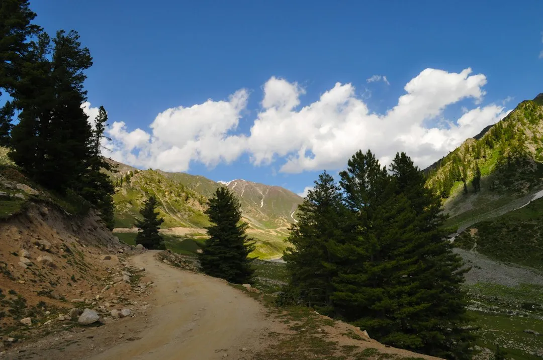 The Bigger Picture: Why Seasonal Landscapes Matter (Image Credits: Unsplash)