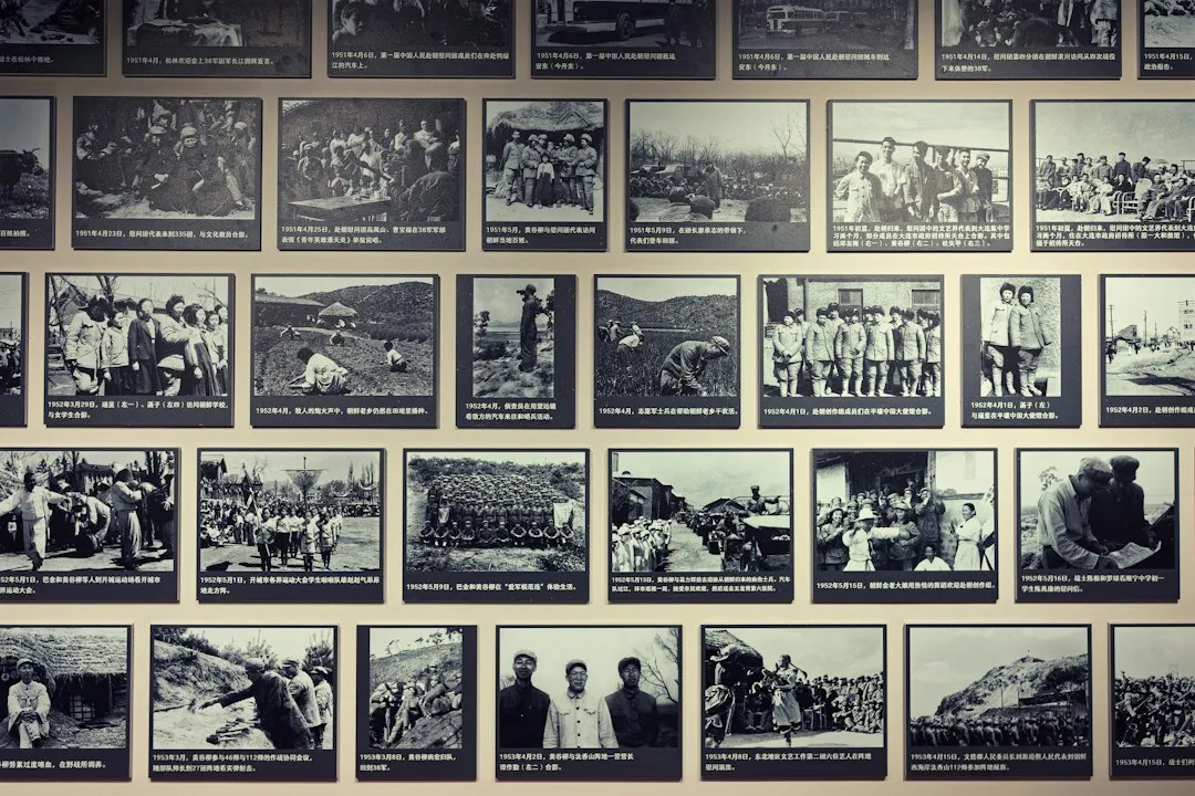 Archives Are Becoming Active Community Spaces, Not Passive Repositories (Image Credits: Unsplash)