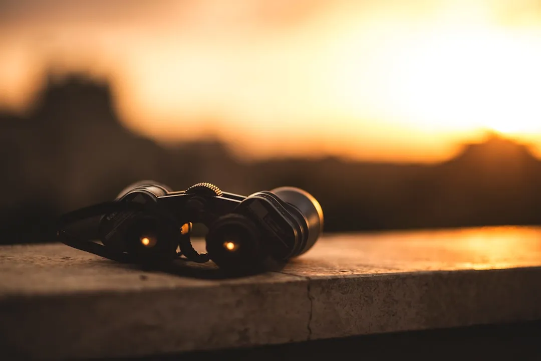 Safe Distance Is Part of Responsible Watching (Image Credits: Unsplash)