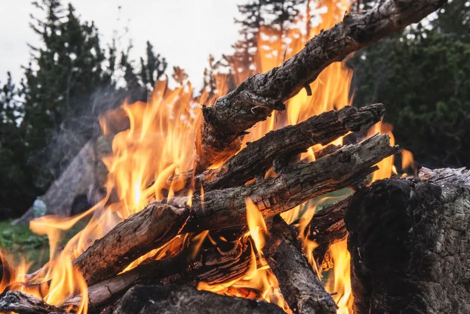 Colorado Tourism Is Navigating Real Trade-Offs (Image Credits: Pexels)