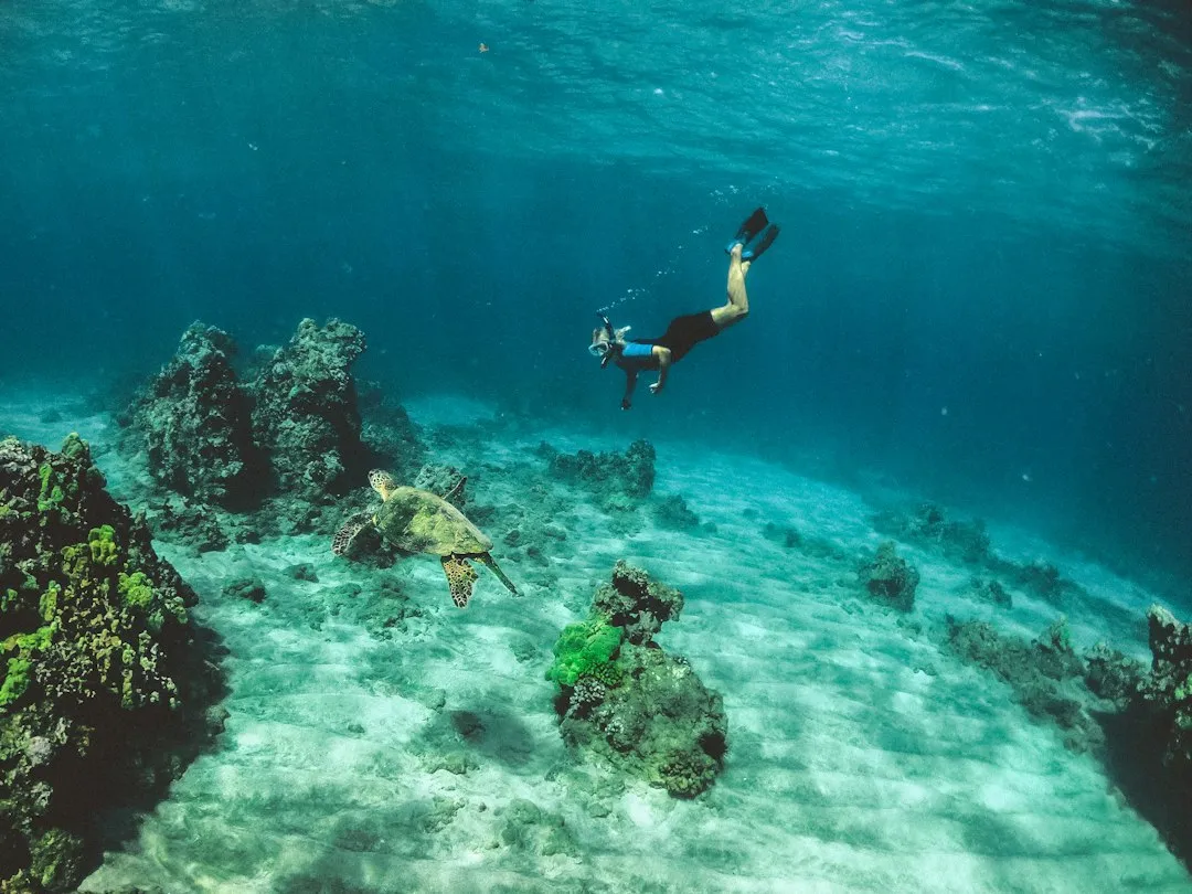 Diving and Snorkeling in the Daymaniyat Islands (Image Credits: Unsplash)