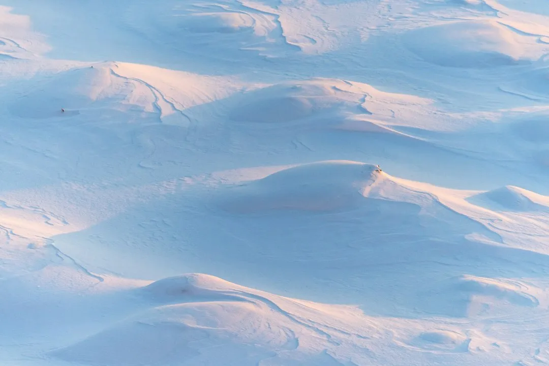 Snow Is Not Just Frozen Water (Image Credits: Unsplash)