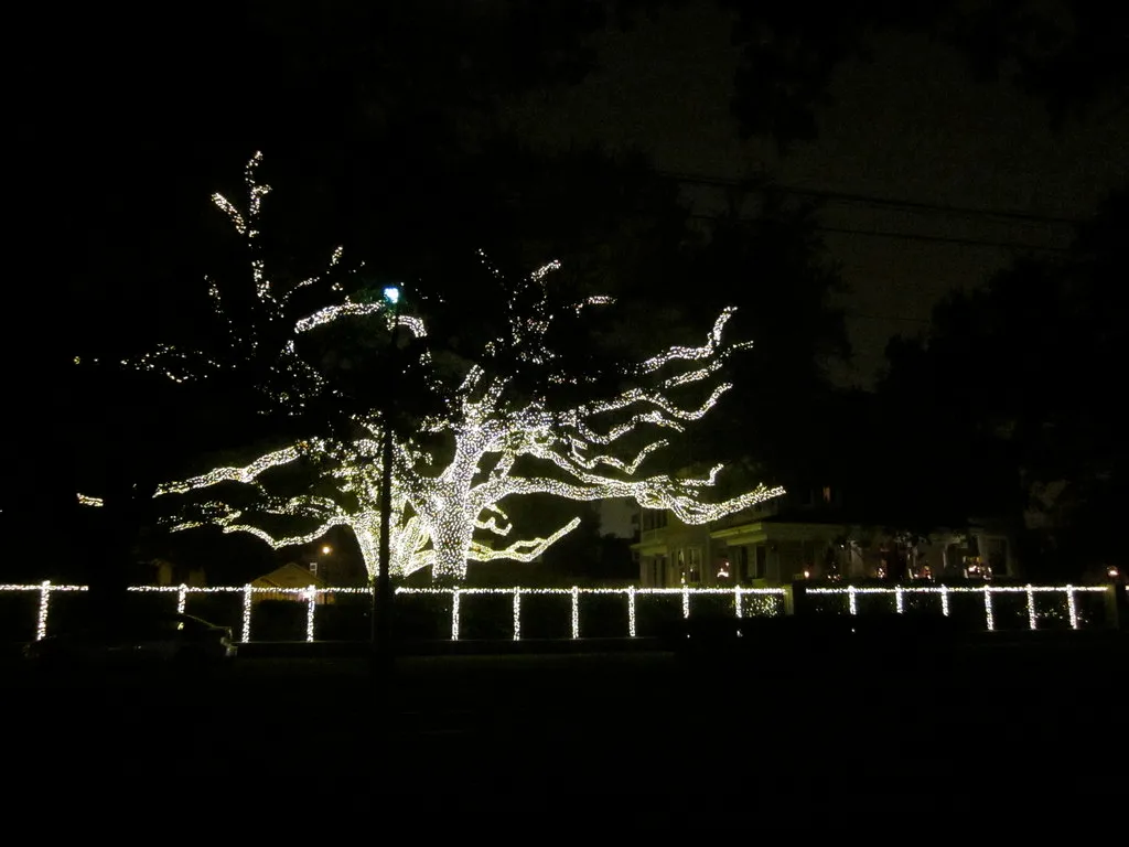 6. New Orleans, Louisiana - Celebration in the Oaks (Infrogmation, Flickr, CC BY 2.0)
