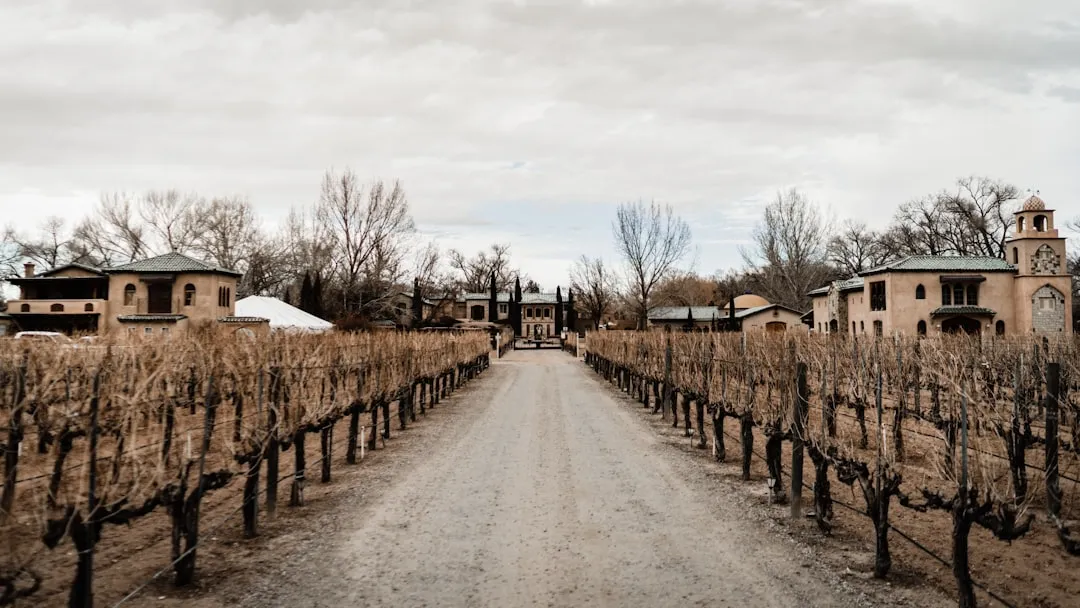 7. New Mexico: America's Oldest Wine Country, Still Largely Undiscovered (Image Credits: Unsplash)