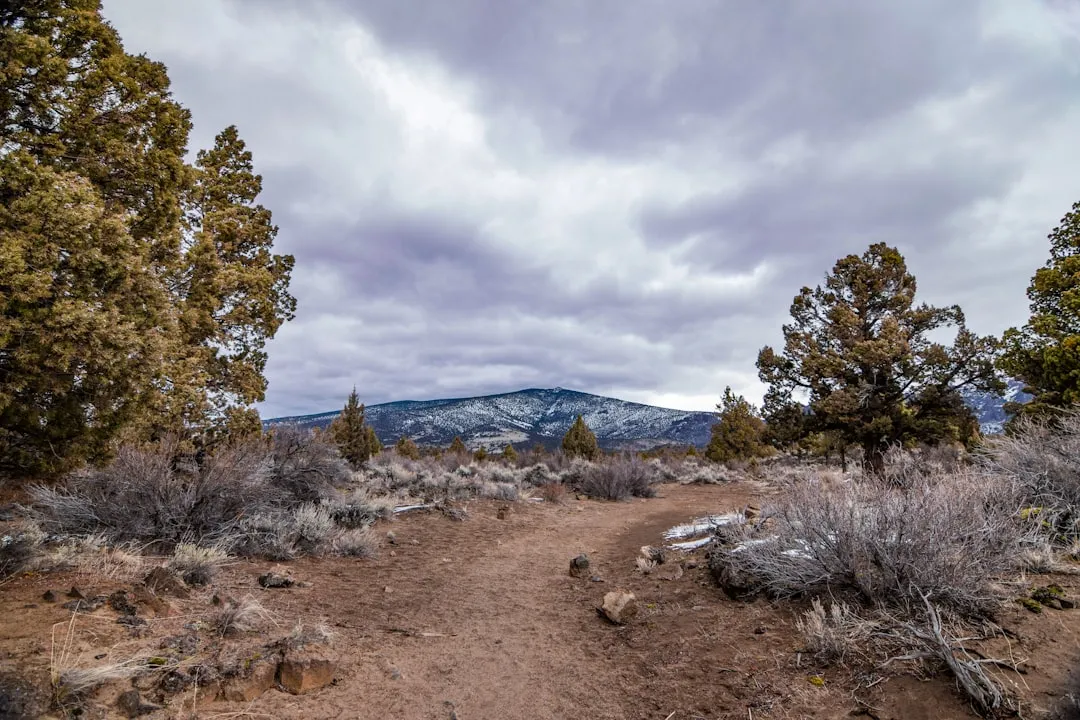 The Trail Keeps Evolving (Image Credits: Unsplash)
