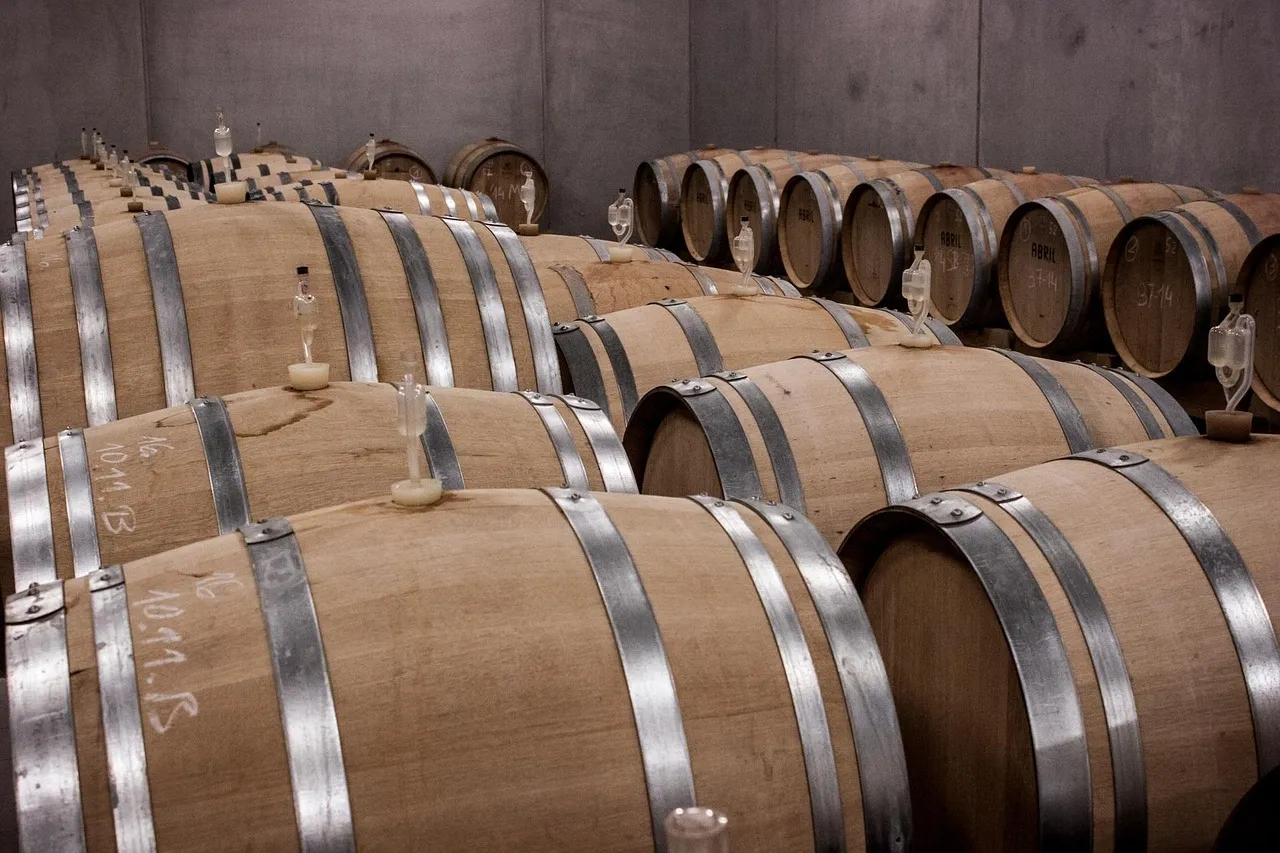Special Events: When the Cellar Opens to Everyone (Image Credits: Pixabay)
