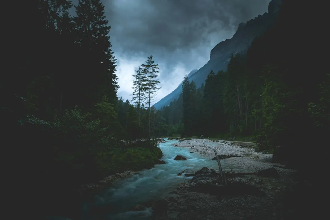 How to Choose Between These Five (Image Credits: Unsplash)