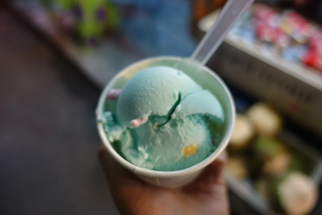 Mint Chocolate Chip: The Ambitious Skeptic (Image Credits: Unsplash)
