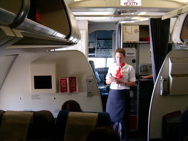 Physically Touching Flight Attendants to Get Their Attention (By Thiago Souza (Thiagosouza444), Public domain)