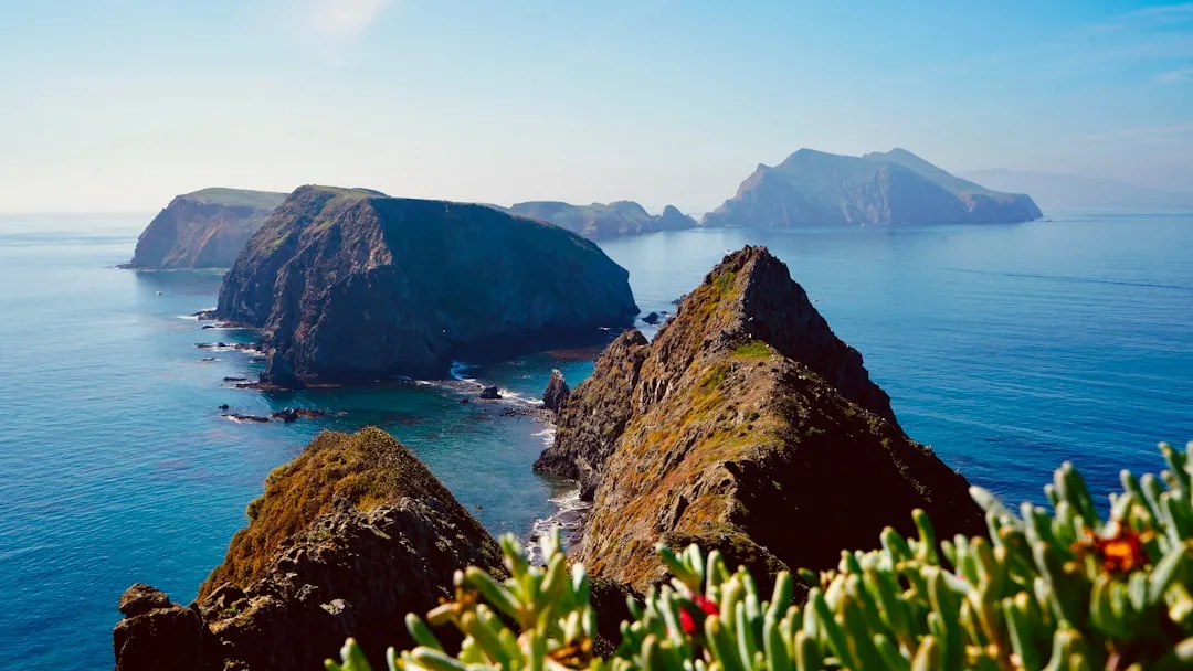 Channel Islands: California's Galápagos Just Offshore from LA (Image Credits: Unsplash)