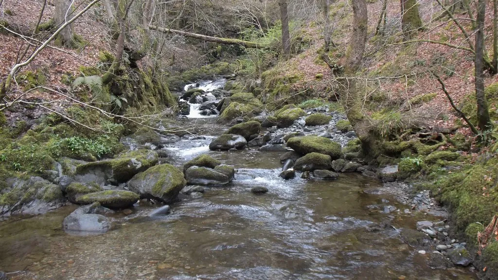 The Sound of Water Genuinely Improves Sleep (oatsy40, Flickr, CC BY 2.0)
