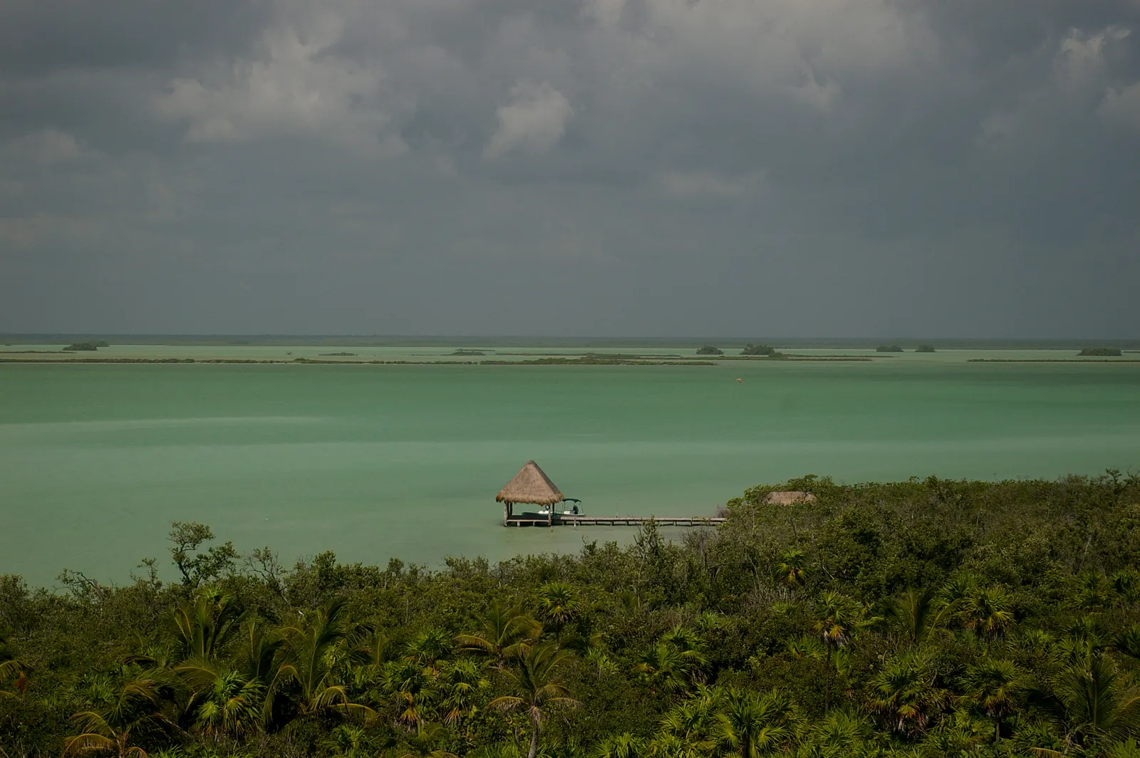 Reason 3: Mexico's Natural World Is Staggeringly Diverse (Sian Ka'an Biosphere Reserve, CC BY-SA 2.0)