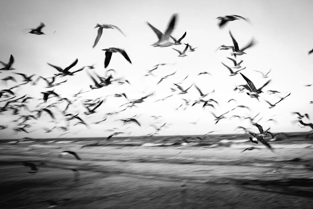 Managing Popularity While Protecting Wilderness (Image Credits: Unsplash)