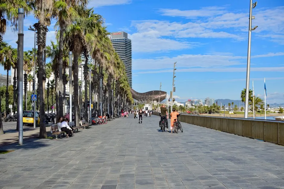 Barcelona's Coastal Corridor: A Masterclass in Avoiding Elevation (Image Credits: Pexels)