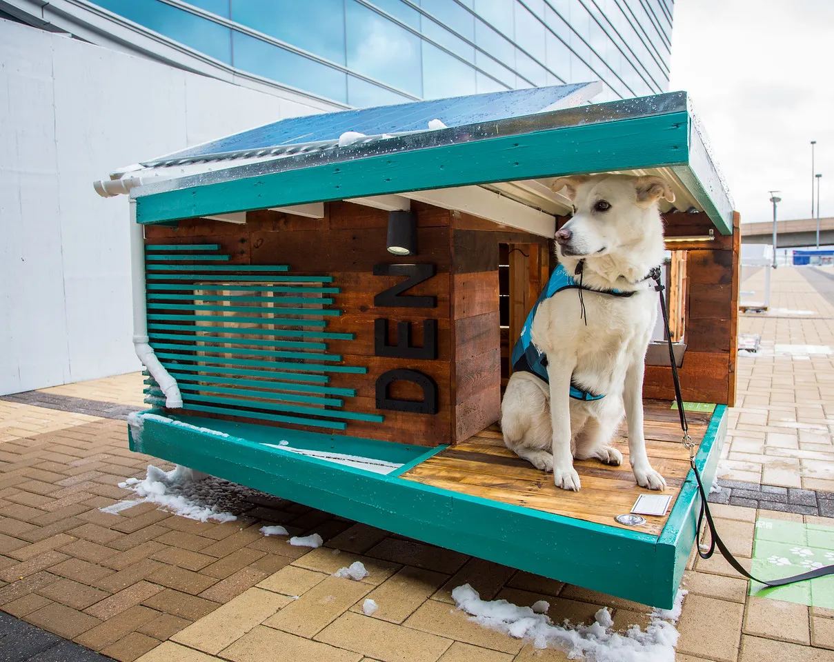 The Takeaway (barkitecture_87-X2, Public domain)