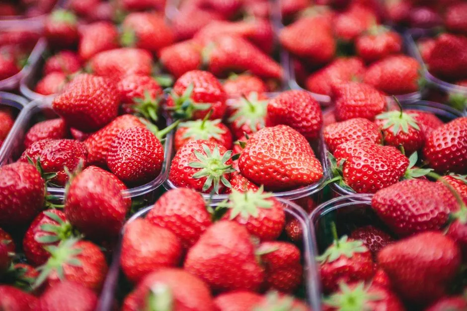 The Takeaway (Image Credits: Pexels)