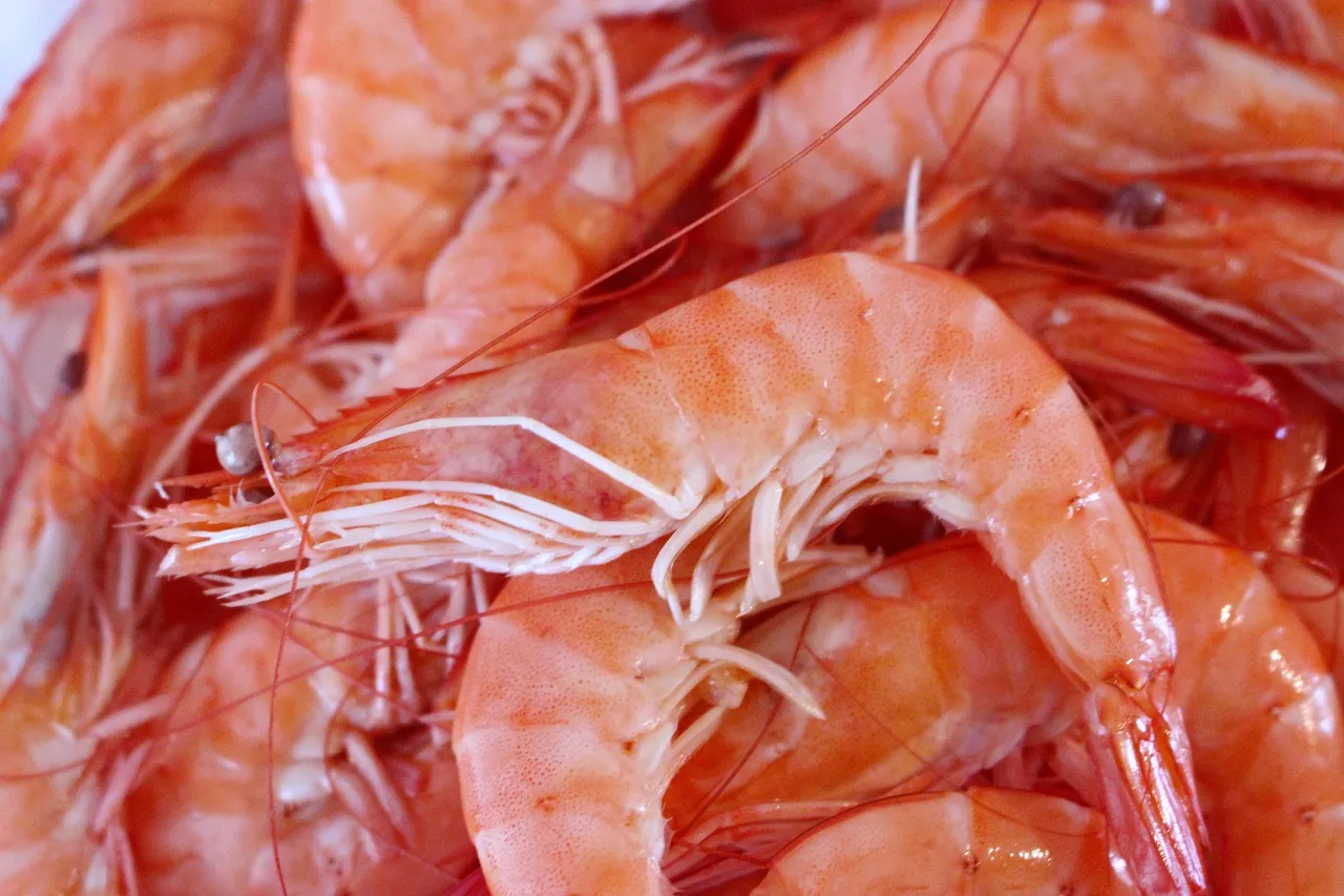National Shrimp Festival, Gulf Shores, Alabama (Image Credits: Pixabay)
