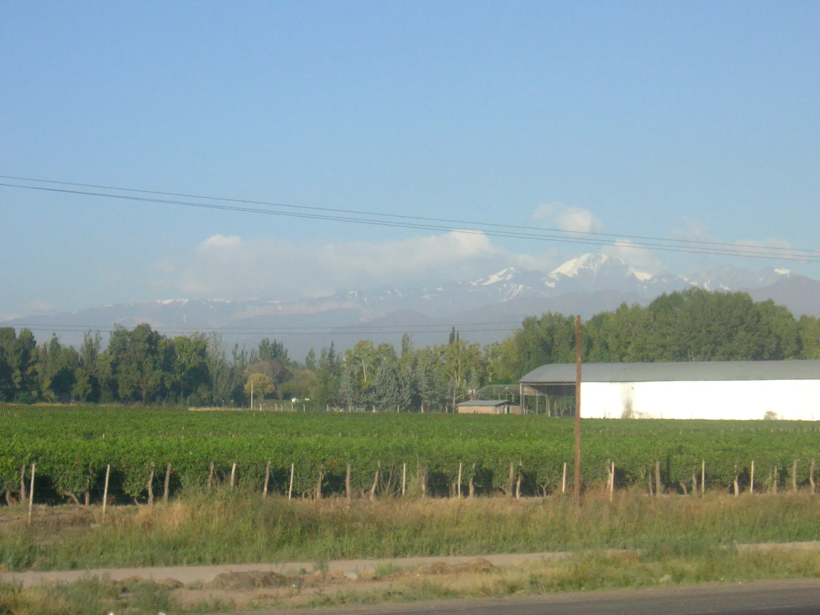 The Takeaway (originally posted to Flickr as Vineyards below the Andes, CC BY-SA 2.0)