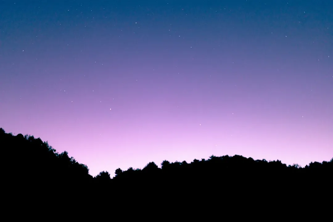Gemini: When the Brain Finally Quits (Image Credits: Unsplash)
