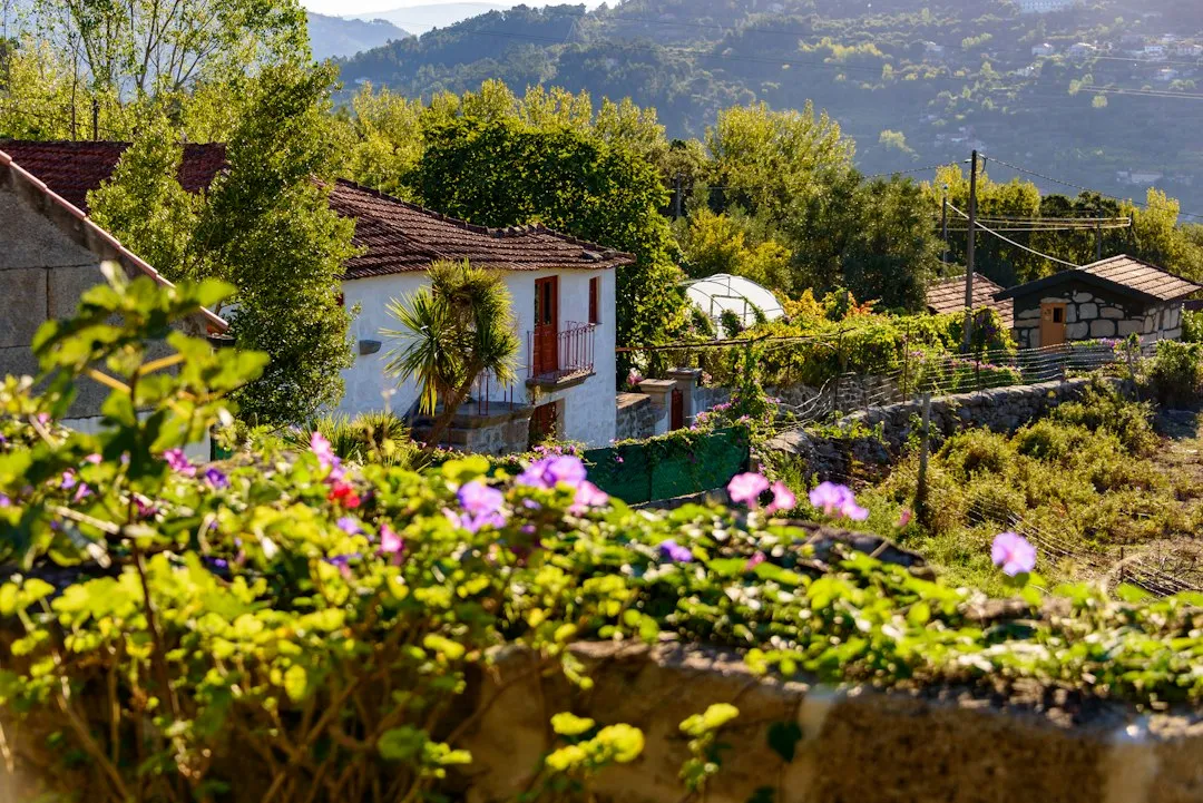 Rural Economies Are Benefiting Directly (Image Credits: Unsplash)