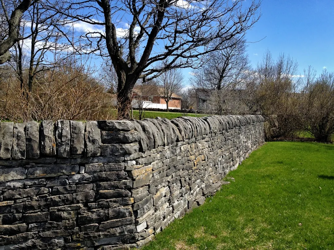 Stonewall Jackson's Last Independent Command (Image Credits: Unsplash)
