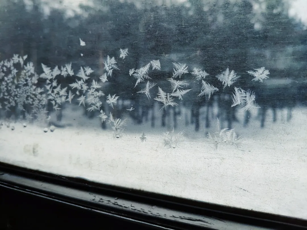 Wind Chill: The Factor That Turns Cool into Dangerous (Image Credits: Unsplash)