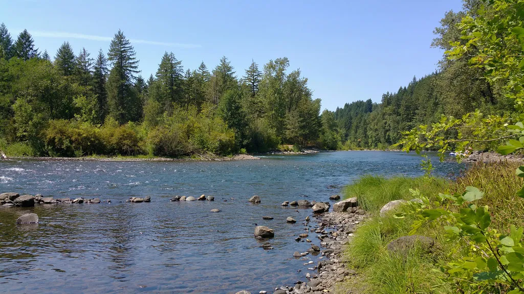 A Final Reflection on Life Above the Water (BLM Oregon & Washington, Flickr, CC BY 2.0)