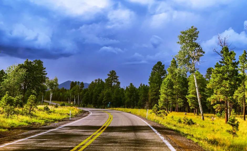 The Drive Is Part of the Deal (Image Credits: Pexels)