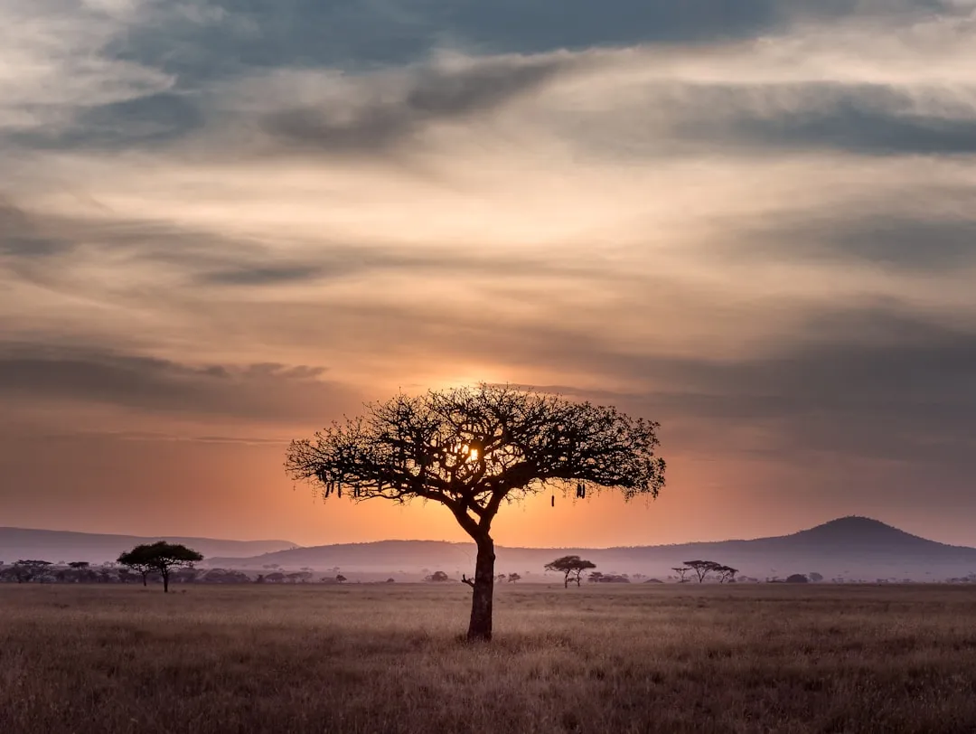 Where the Six-Month Rule Is Strictly Enforced (Image Credits: Unsplash)