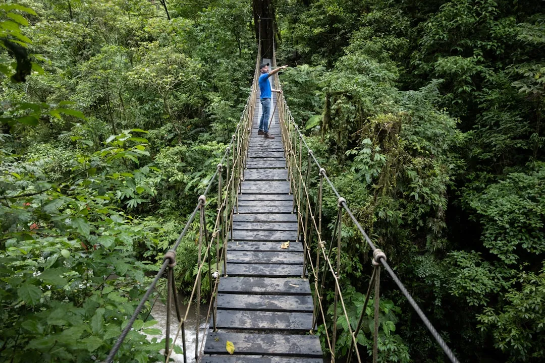 The Economic Case for Small-Scale Eco-Tourism (Image Credits: Unsplash)