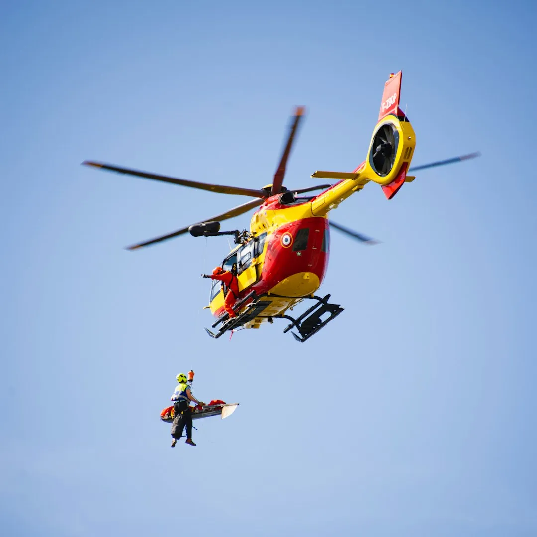 Real Rescues Confirm What Statistics Can't Fully Capture (Image Credits: Unsplash)